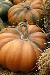 Similar image 5589300