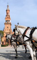 Similar image 5589325