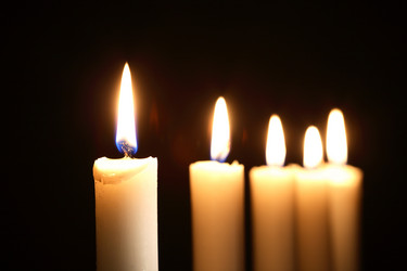 Similar image 5589329