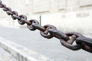 Similar image 5589330