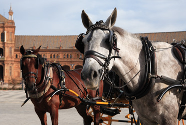 Similar image 5589332