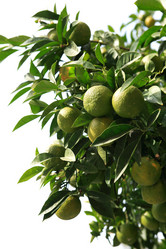 Similar image 5589334