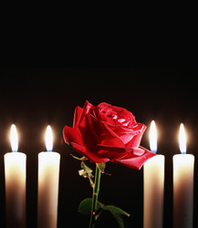 Similar image 5589339