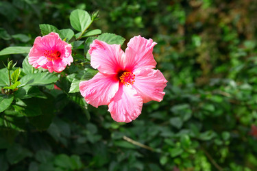 Similar image 5589342