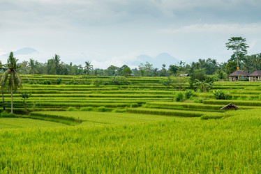 Similar image 5589359