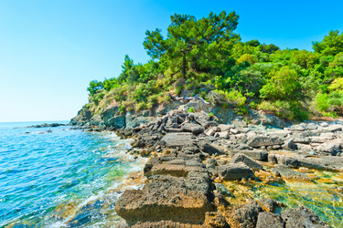 Similar image 5589433