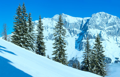 Similar image 5589497