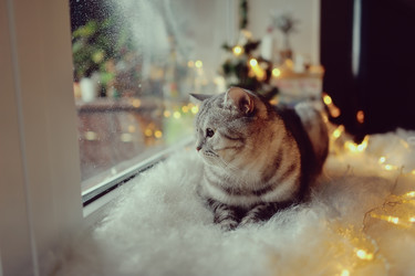 Similar image 5589516