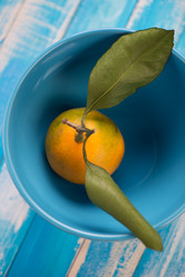 Similar image 5589764