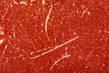 Similar image 5589950