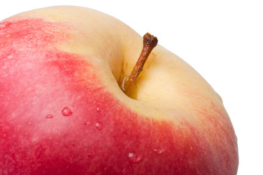 Similar image 5589953