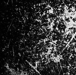 Similar image 5590003