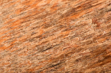 Similar image 5590018