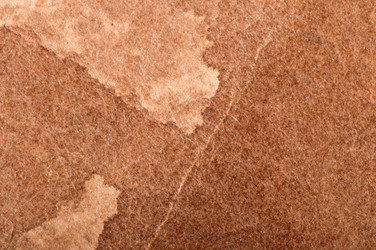 Similar image 5590022