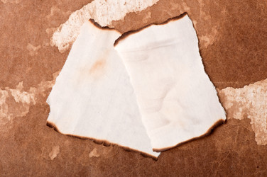 Similar image 5590025