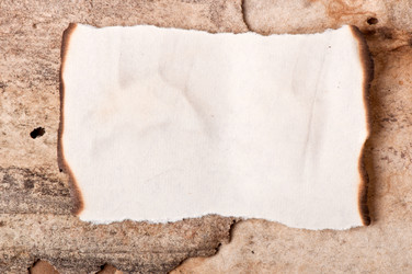 Similar image 5590027