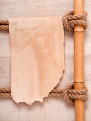 Similar image 5590030