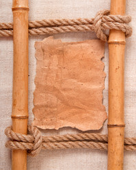 Similar image 5590033