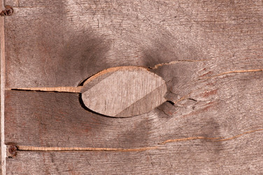 Similar image 5590037