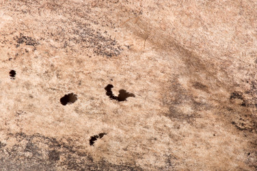 Similar image 5590051