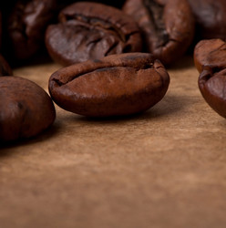 Similar image 5590052