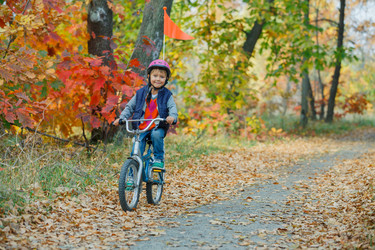 Similar image 5590171