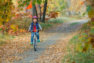 Similar image 5590174