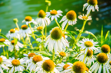 Similar image 5590495