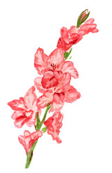 Similar image 5590886