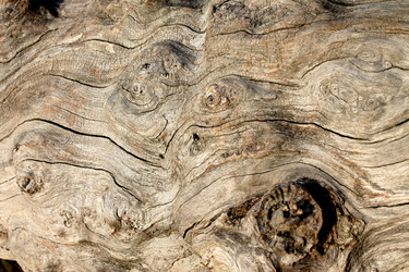 Similar image 5591143