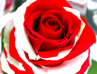 Similar image 5591147