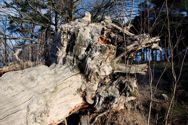 Similar image 5591162