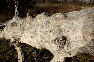 Similar image 5591163