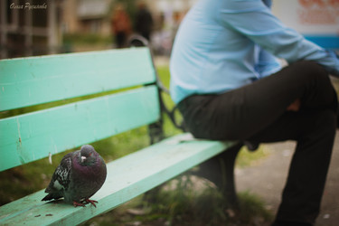 Similar image 5591164