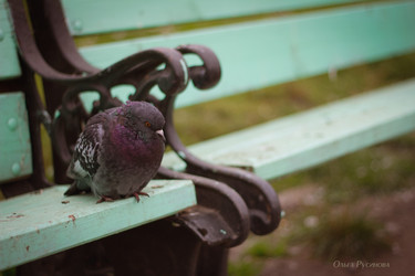 Similar image 5591169