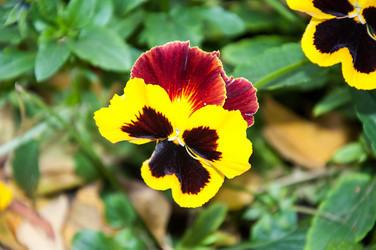 Similar image 5591180