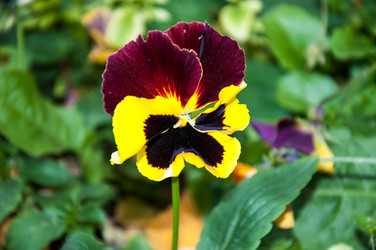 Similar image 5591183