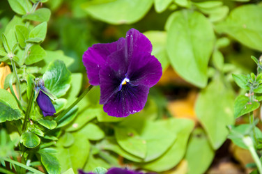 Similar image 5591185