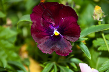 Similar image 5591186