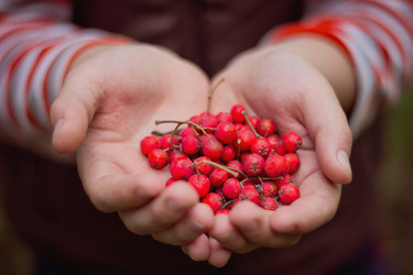 Similar image 5591188