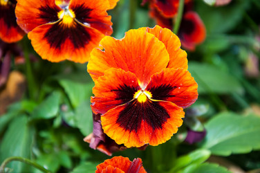 Similar image 5591199