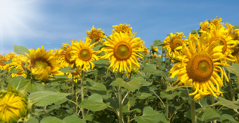 Similar image 5591211