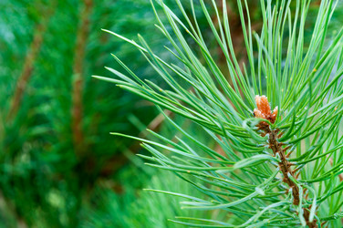 Similar image 5591230