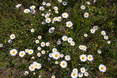 Similar image 5591232