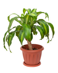 Similar image 5591239