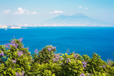 Similar image 5591252