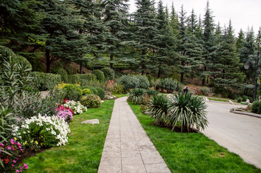 Similar image 5591315