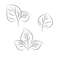 Similar image 5591382