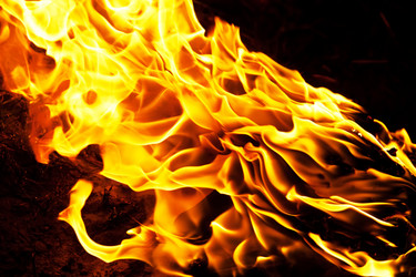 Similar image 5591395