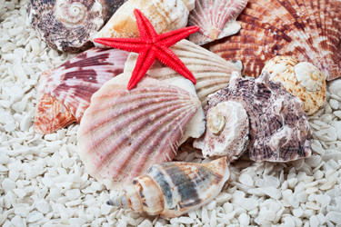 Similar image 5591400